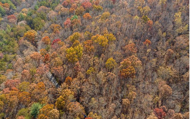 LOT 7 Joseph Anderson Trail, Ellijay, GA 30536
