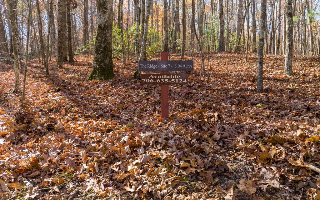 LOT 7 Joseph Anderson Trail, Ellijay, GA 30536