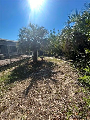 229 W Sugarberry Lane, Beverly Hills, FL 34465