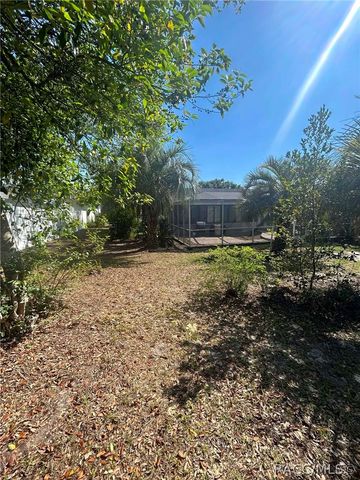 229 W Sugarberry Lane, Beverly Hills, FL 34465