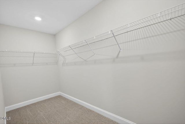 586 Barrington Row Avenue, Zebulon, NC 27597