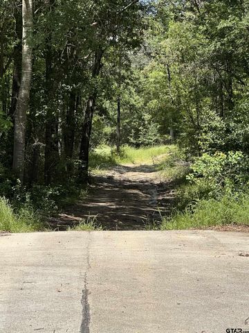 4102 Van Hwy, Tyler, TX 75704