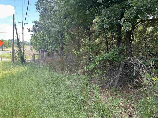 4102 Van Hwy, Tyler, TX 75704