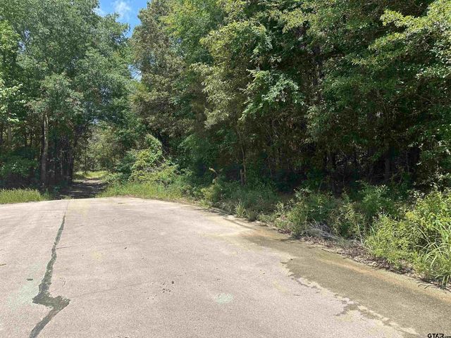 4102 Van Hwy, Tyler, TX 75704