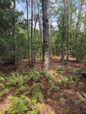 11441 KO DRIVE, Lakeland, FL 33809