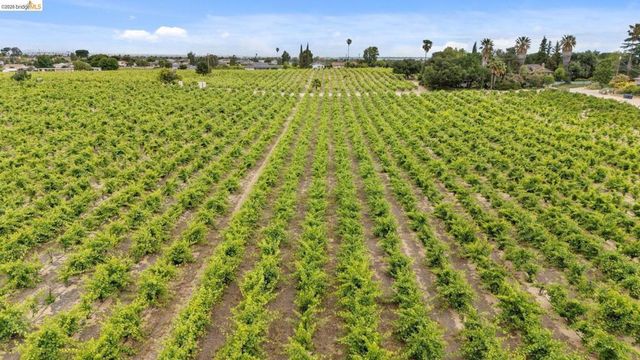 700 Brownstone RD, Oakley, CA 94561
