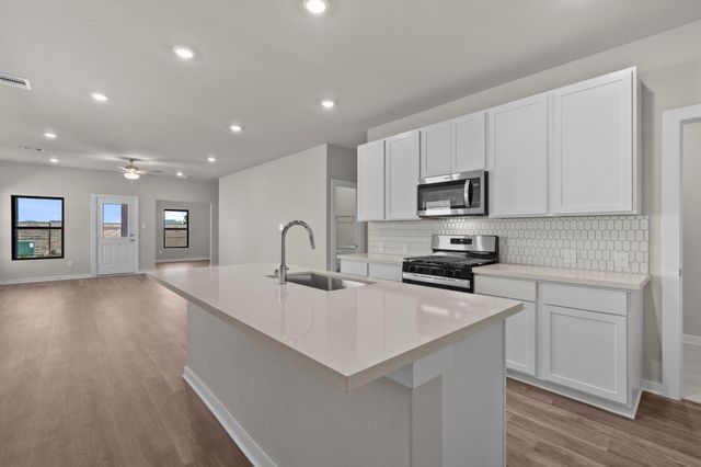 22018 Matera Vista Lane, Hockley, TX 77447