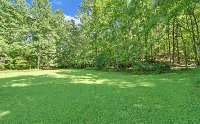 1374 Lucius Road, Cherry Log, GA 30522