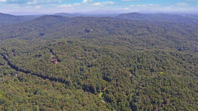 1374 Lucius Road, Cherry Log, GA 30522