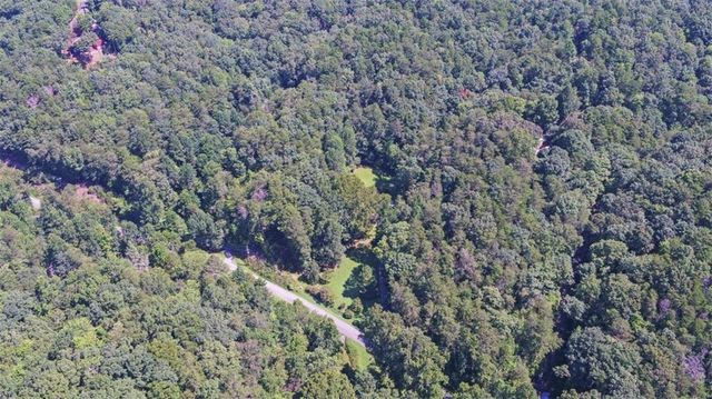 1374 Lucius Road, Cherry Log, GA 30522