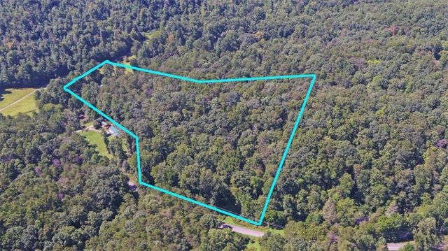 1374 Lucius Road, Cherry Log, GA 30522