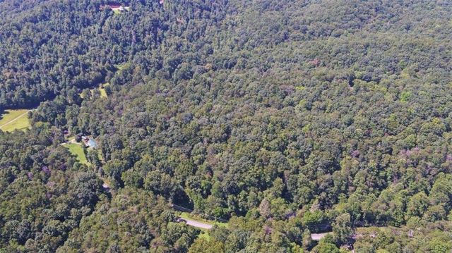 1374 Lucius Road, Cherry Log, GA 30522