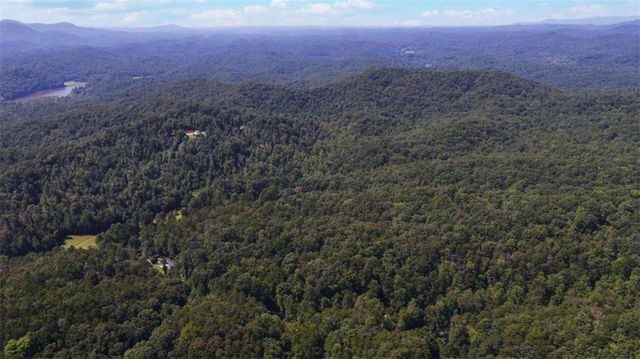 1374 Lucius Road, Cherry Log, GA 30522