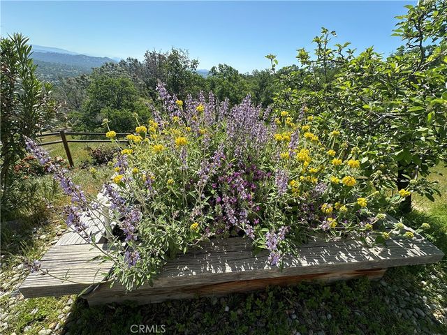 41915 John Muir, Coarsegold, CA 93614