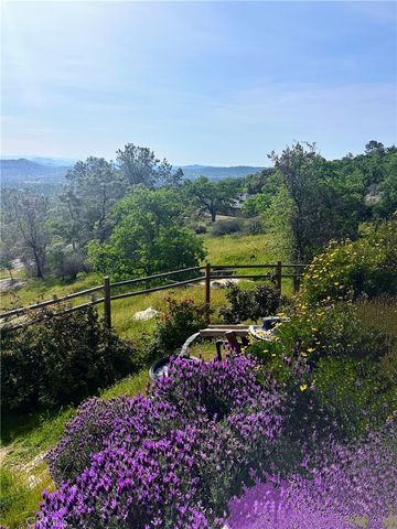 41915 John Muir, Coarsegold, CA 93614