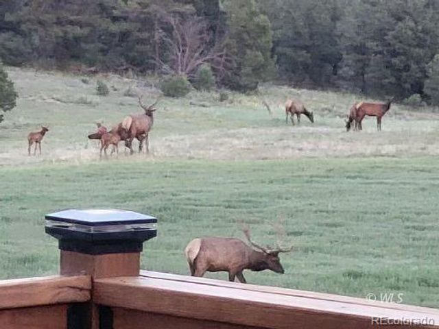 1850 Cody Park Road, Cotopaxi, CO 81223