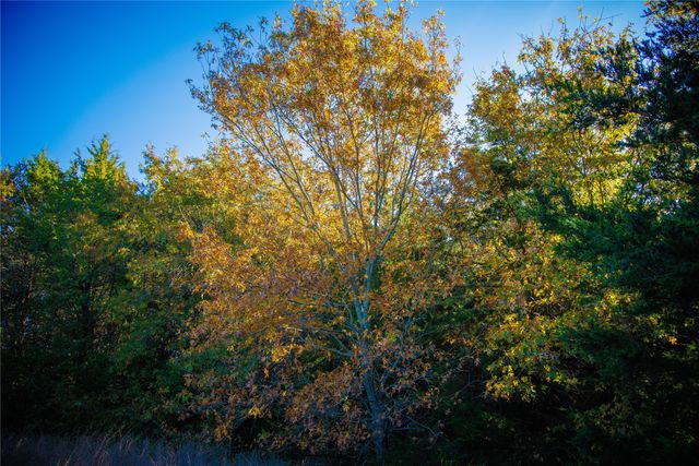 2270 County Road 2360, Decatur, TX 76234