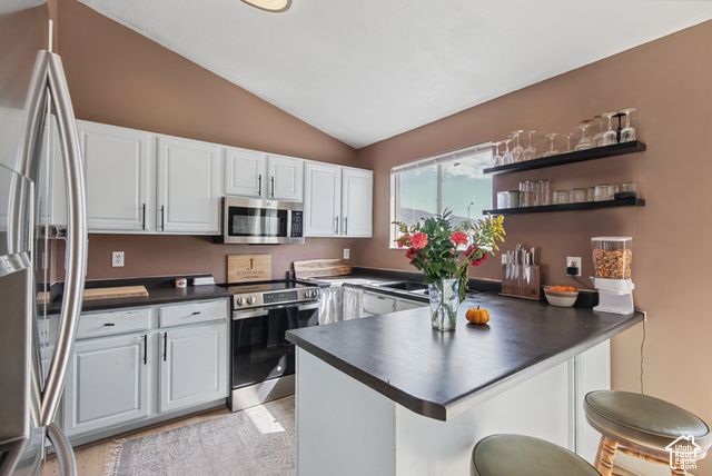 1165 W BRANDONWOOD DR, Murray, UT 84123