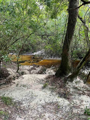 21305 River Road, Robertsdale, AL 36567