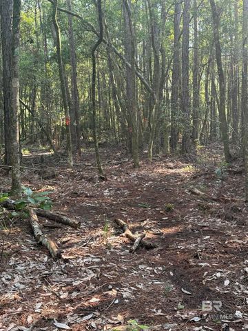 21305 River Road, Robertsdale, AL 36567