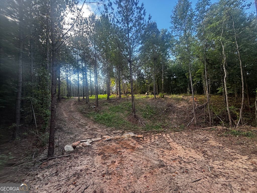 2807 Cedar Creek Road, Elberton, GA 30635 — photo 3