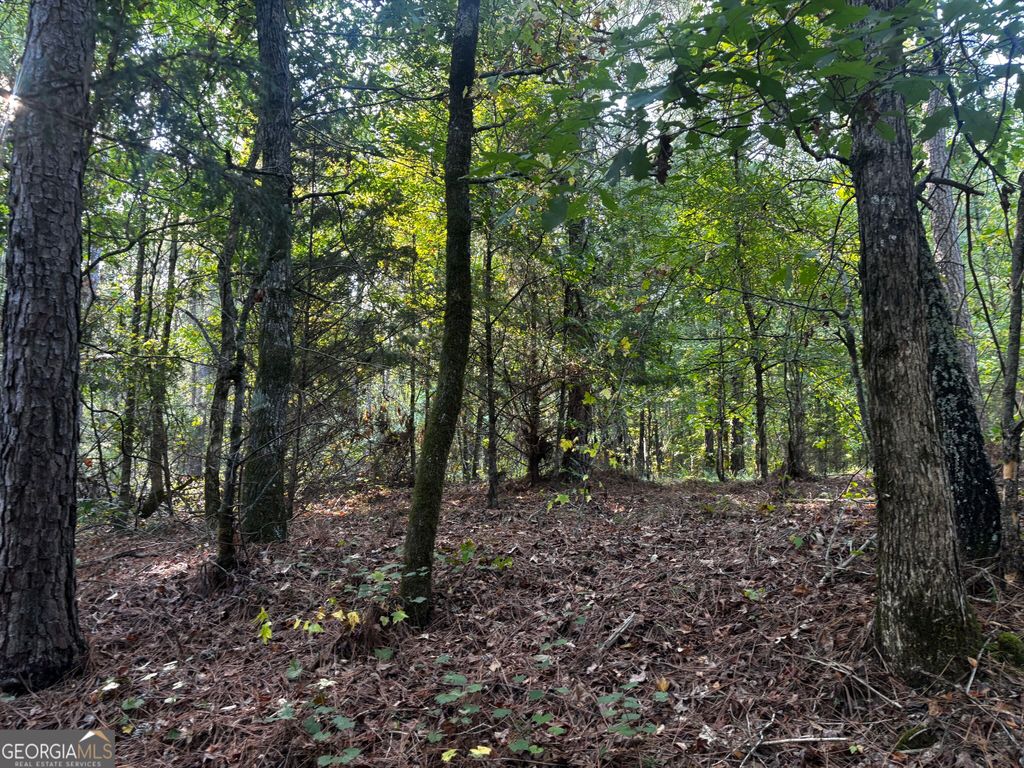 2807 Cedar Creek Road, Elberton, GA 30635 — photo 5