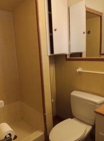 729 Blueberry Lane, Grand Prairie, TX 75052