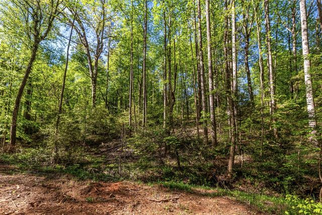 00 Woodberry Court, West Union, SC 29696