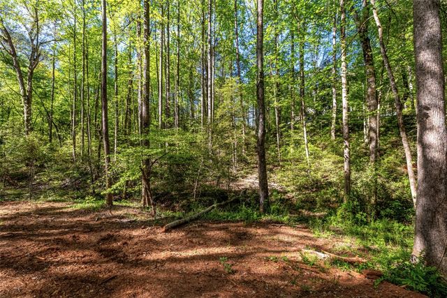 00 Woodberry Court, West Union, SC 29696