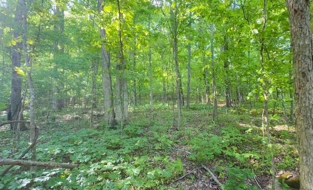 140 Ben Johnson Rd, Pulaski, TN 38478