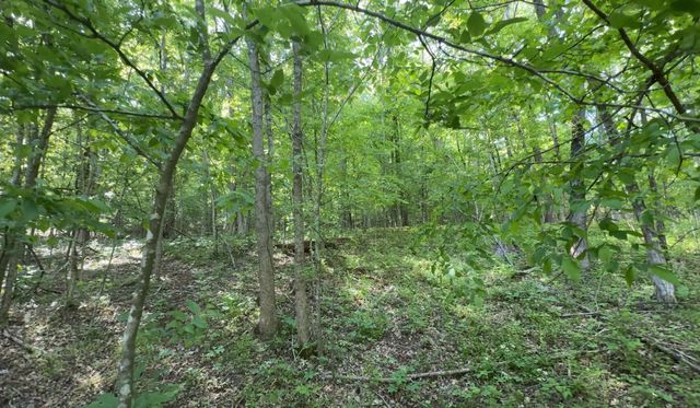 140 Ben Johnson Rd, Pulaski, TN 38478