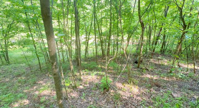 140 Ben Johnson Rd, Pulaski, TN 38478