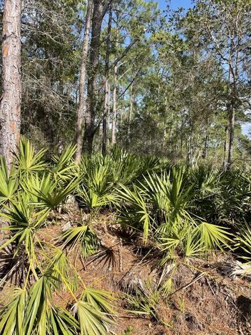 32 FYFE AVENUE, Debary, FL 32713