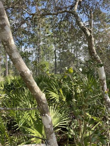 32 FYFE AVENUE, Debary, FL 32713