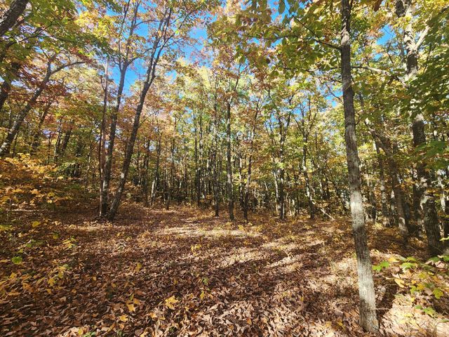 12 Higgenbotham Turnpike, Altamont, TN 37301