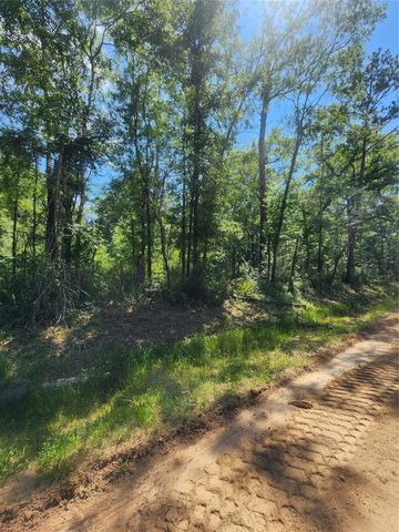 03 Cindy Lane, Shepherd, TX 77371