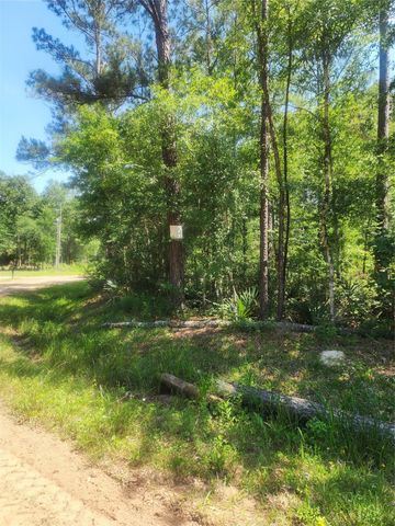 03 Cindy Lane, Shepherd, TX 77371