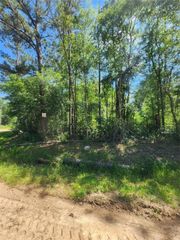 03 Cindy Lane, Shepherd, TX 77371