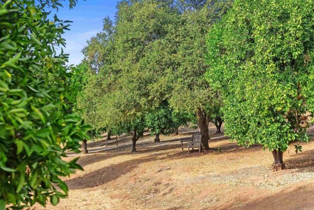 12711 Big Bend Way, Valley Center, CA 92082