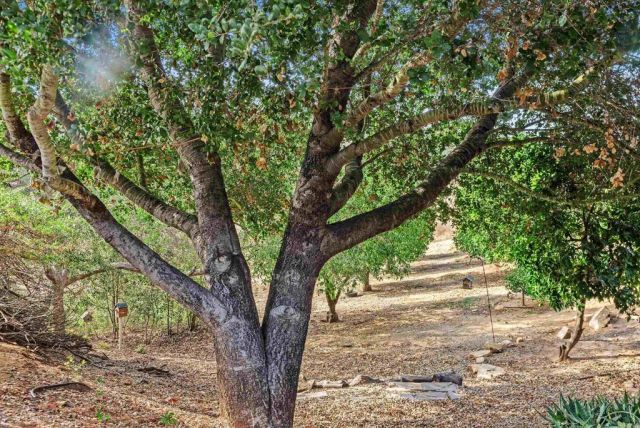12711 Big Bend Way, Valley Center, CA 92082