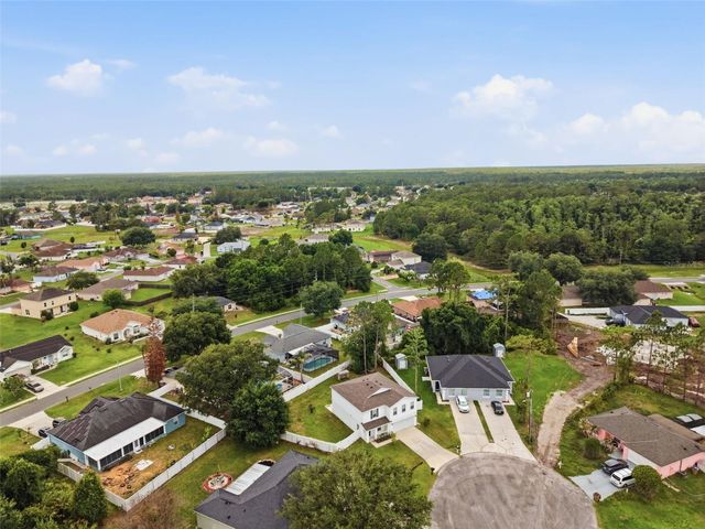 815 SAVONA PLACE, Kissimmee, FL 34758