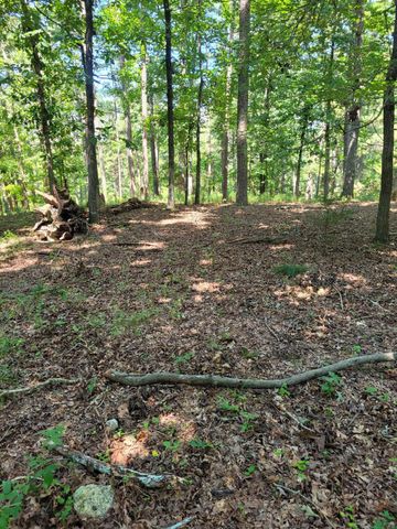 7000 SW Three Notch Road 20, Ringgold, GA 30736
