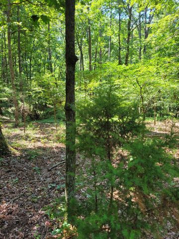 7000 SW Three Notch Road 20, Ringgold, GA 30736