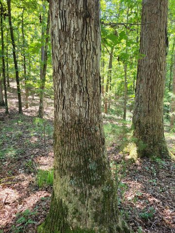 7000 SW Three Notch Road 20, Ringgold, GA 30736