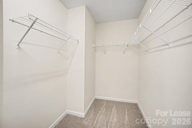 13809 Singleleaf Lane, Charlotte, NC 28278