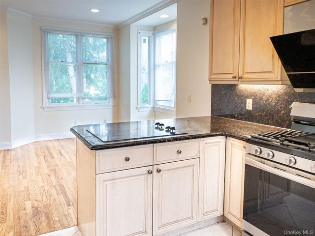 11 Willow Lane, Great Neck, NY 11023