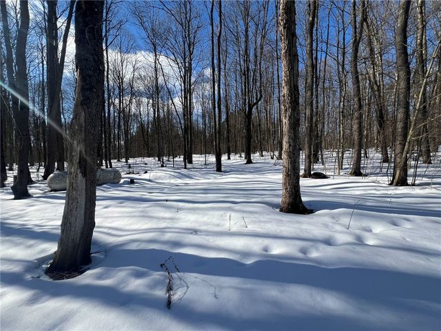 5063 South Cooper Hill Road, Humphrey, NY 14743