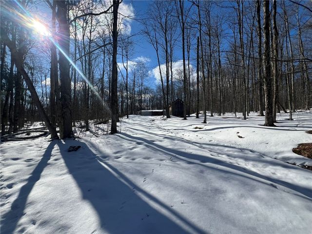 5063 South Cooper Hill Road, Humphrey, NY 14743