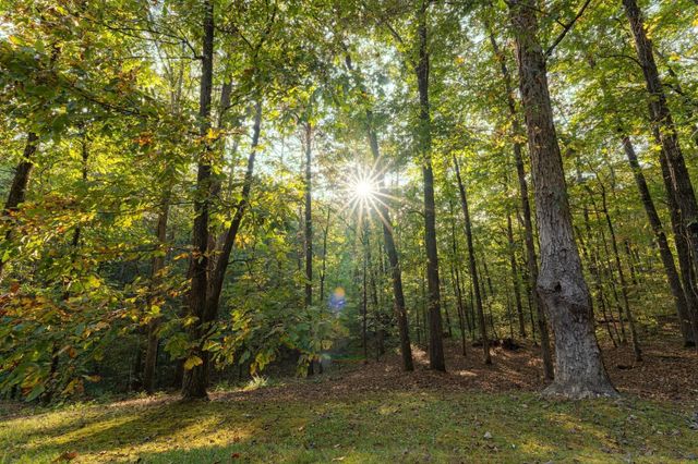 3197 Lower River Road, NW, Georgetown, TN 37336