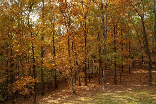 3197 Lower River Road, NW, Georgetown, TN 37336